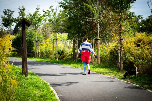 Voraussetzungen und Umfang eines Notwegerechts